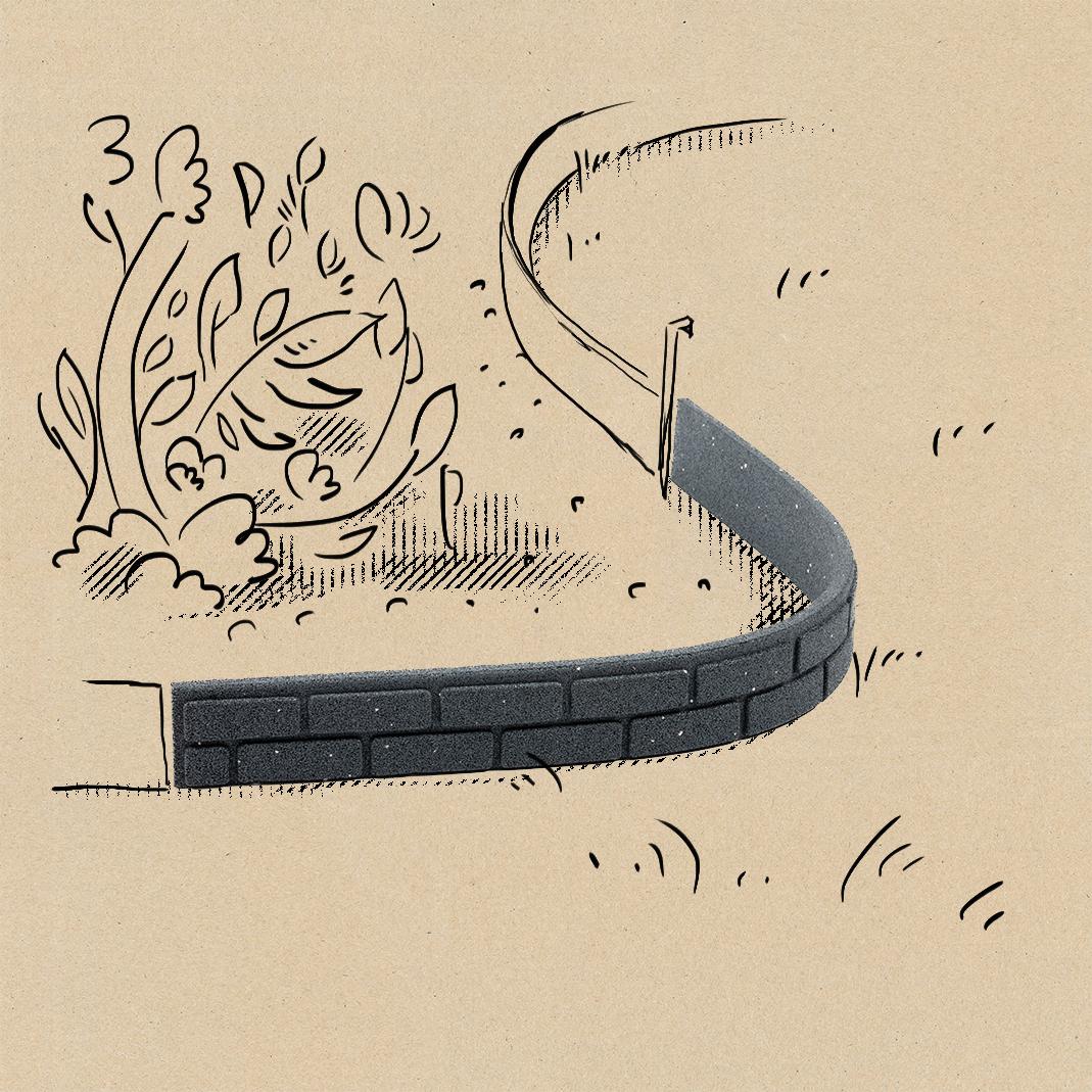 FLEXIBLE  BORDERS