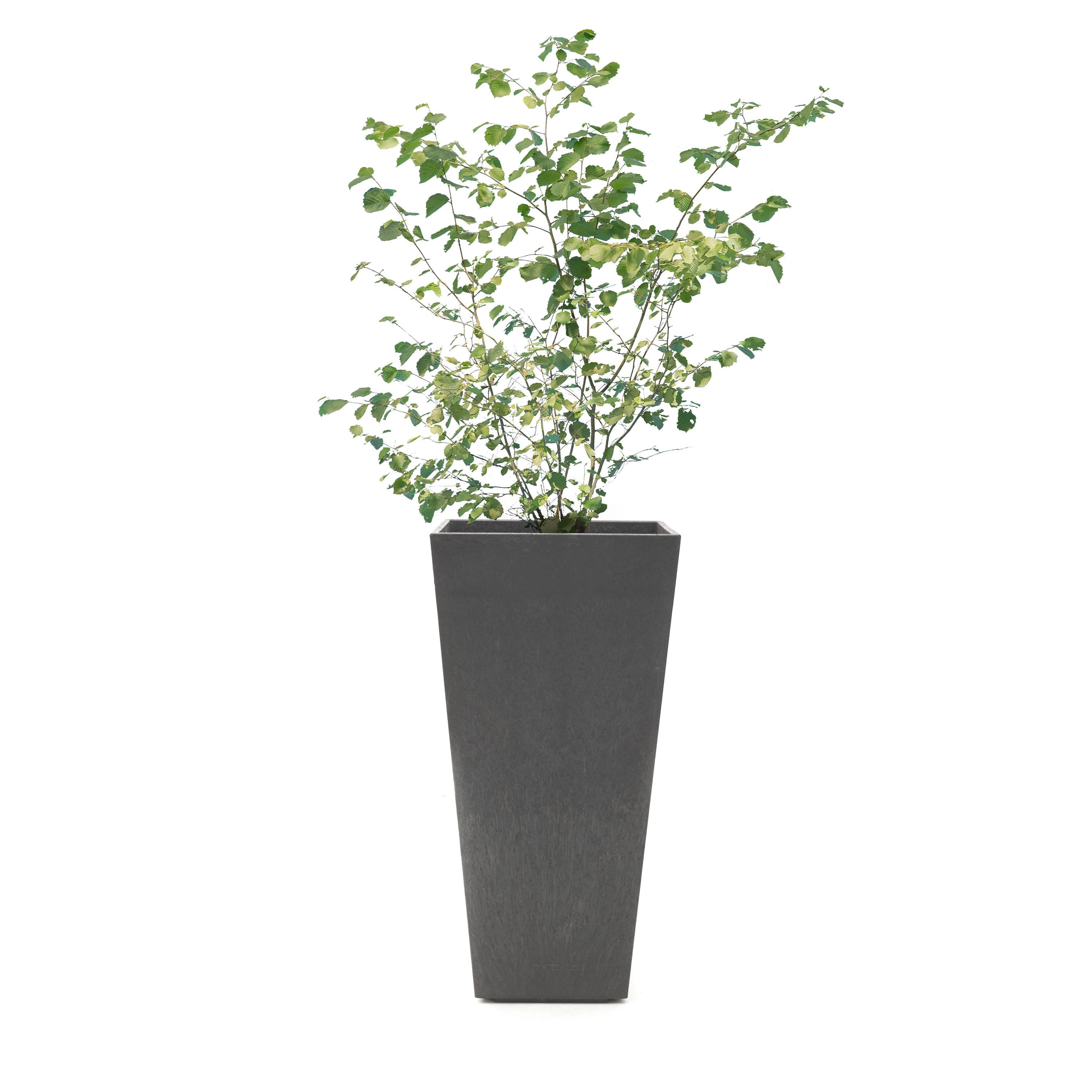 Sonata 70cm Planter