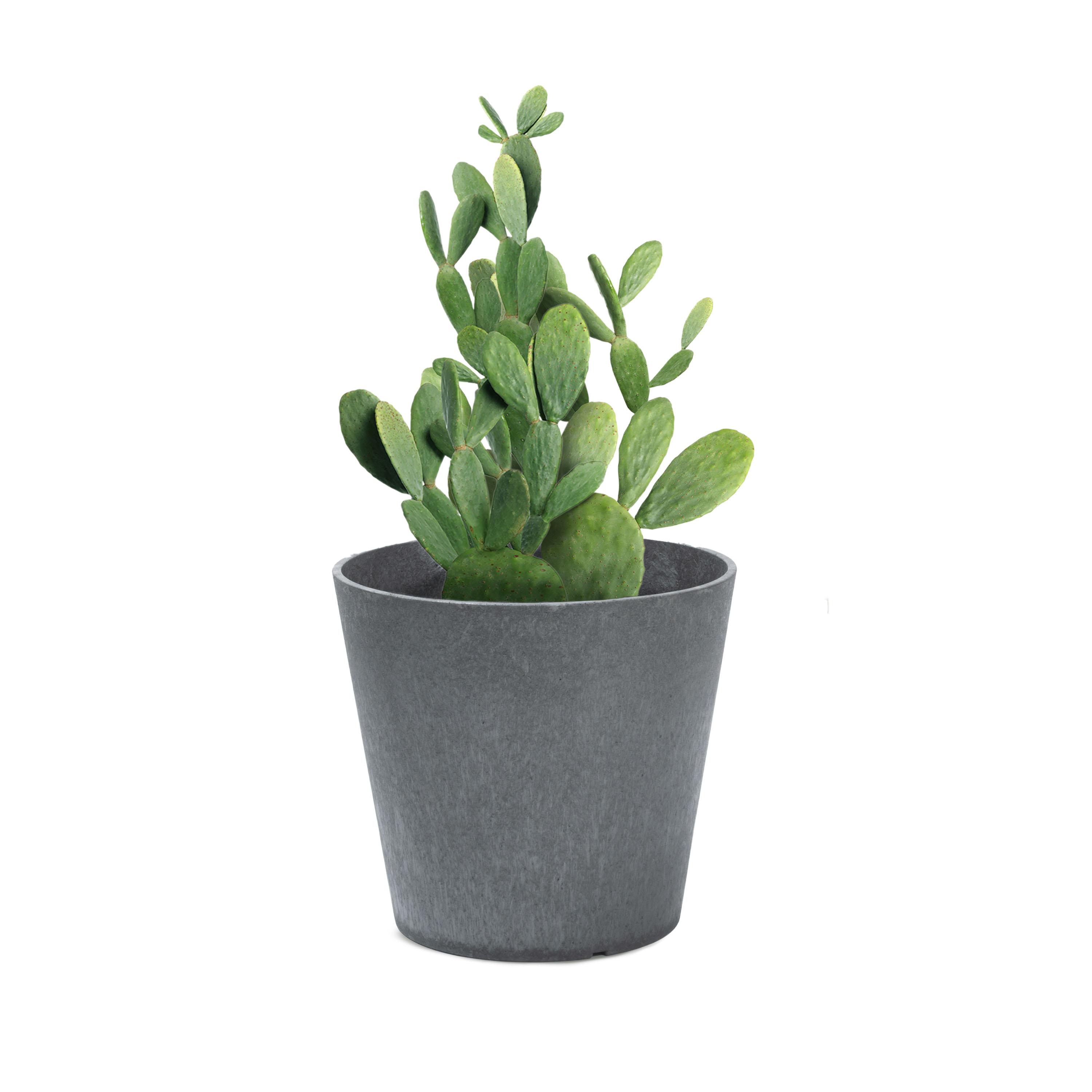 Octavia 28cm Planter