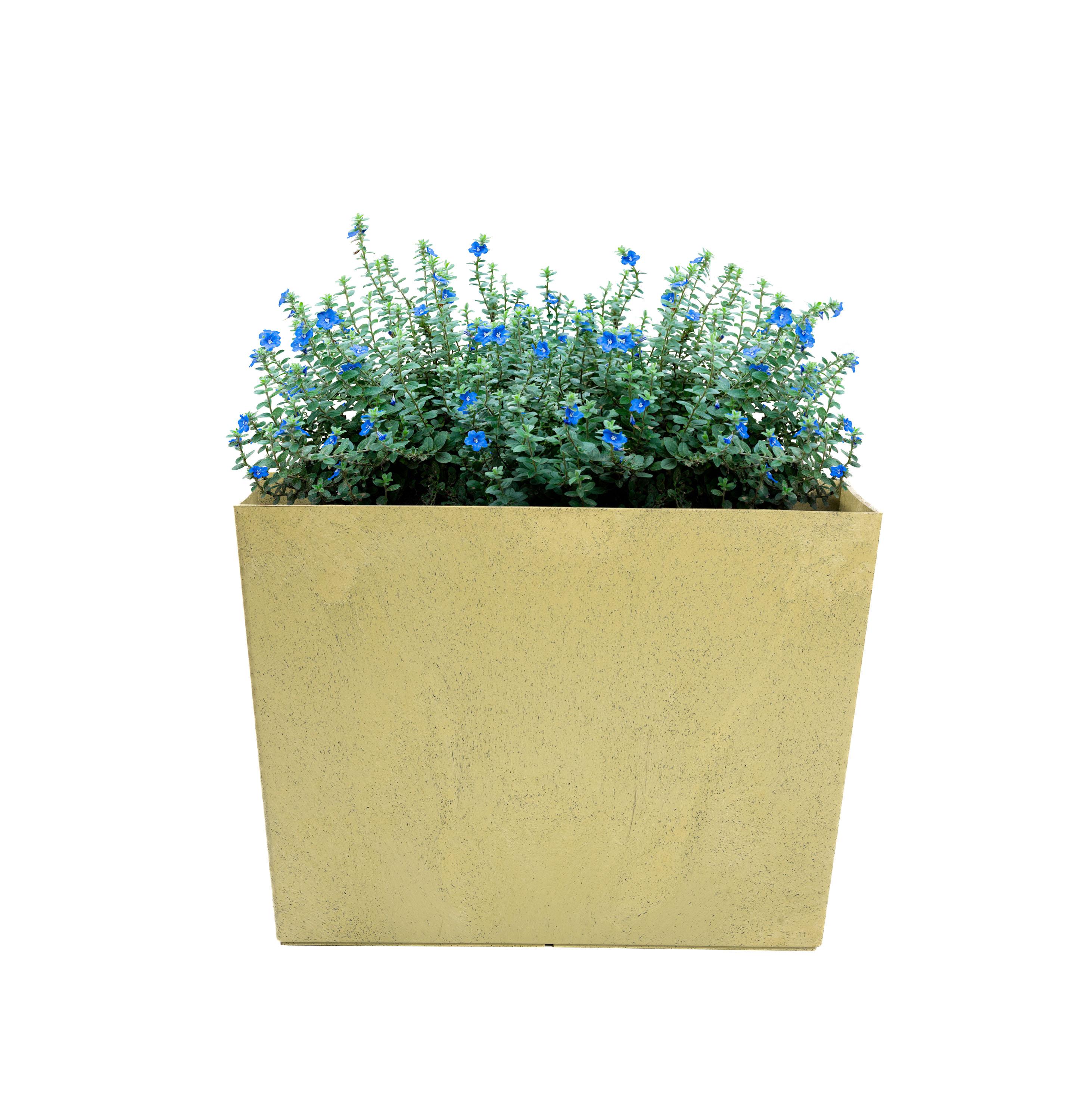 Sonata Trough 50cm Planter