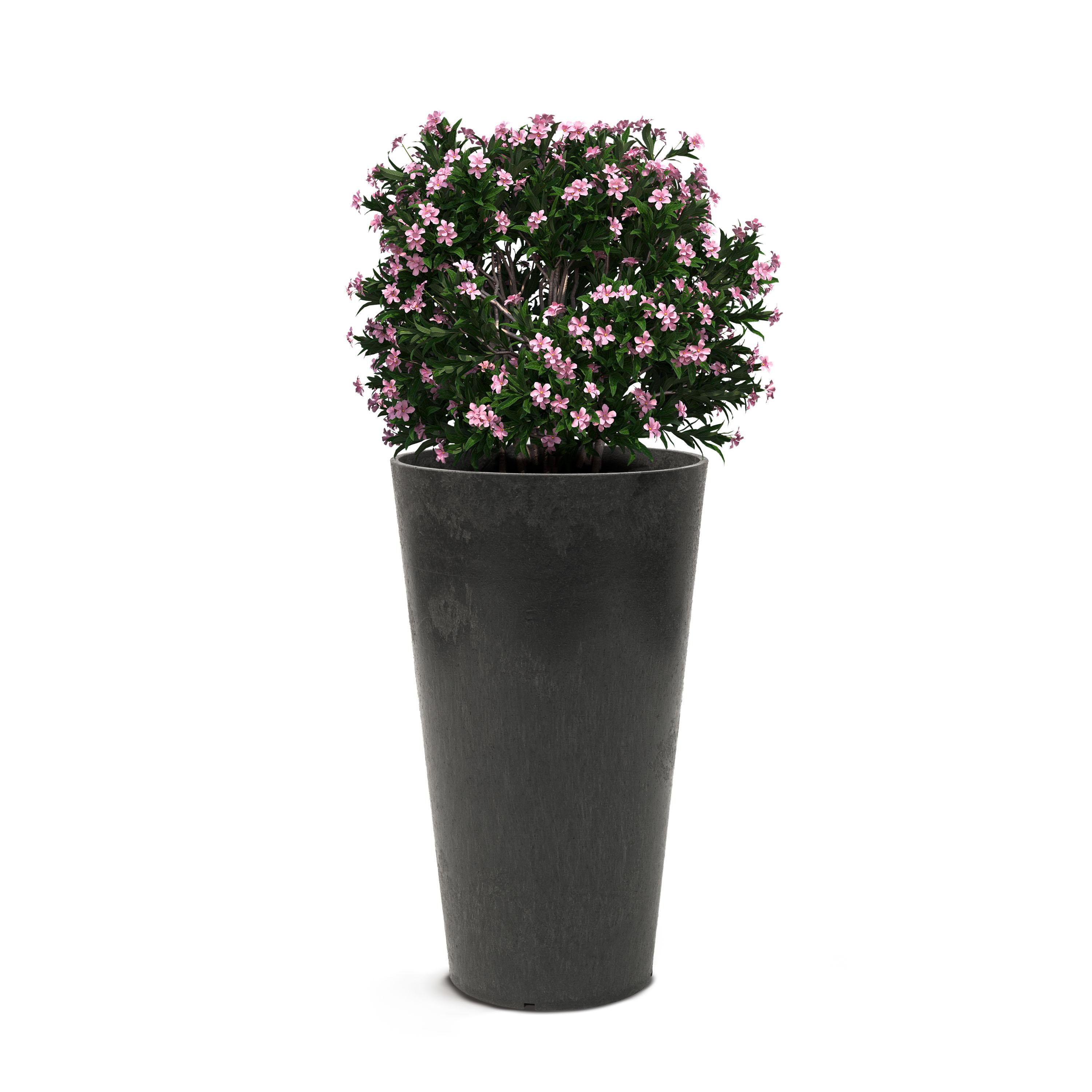 Concerto 66cm Planter