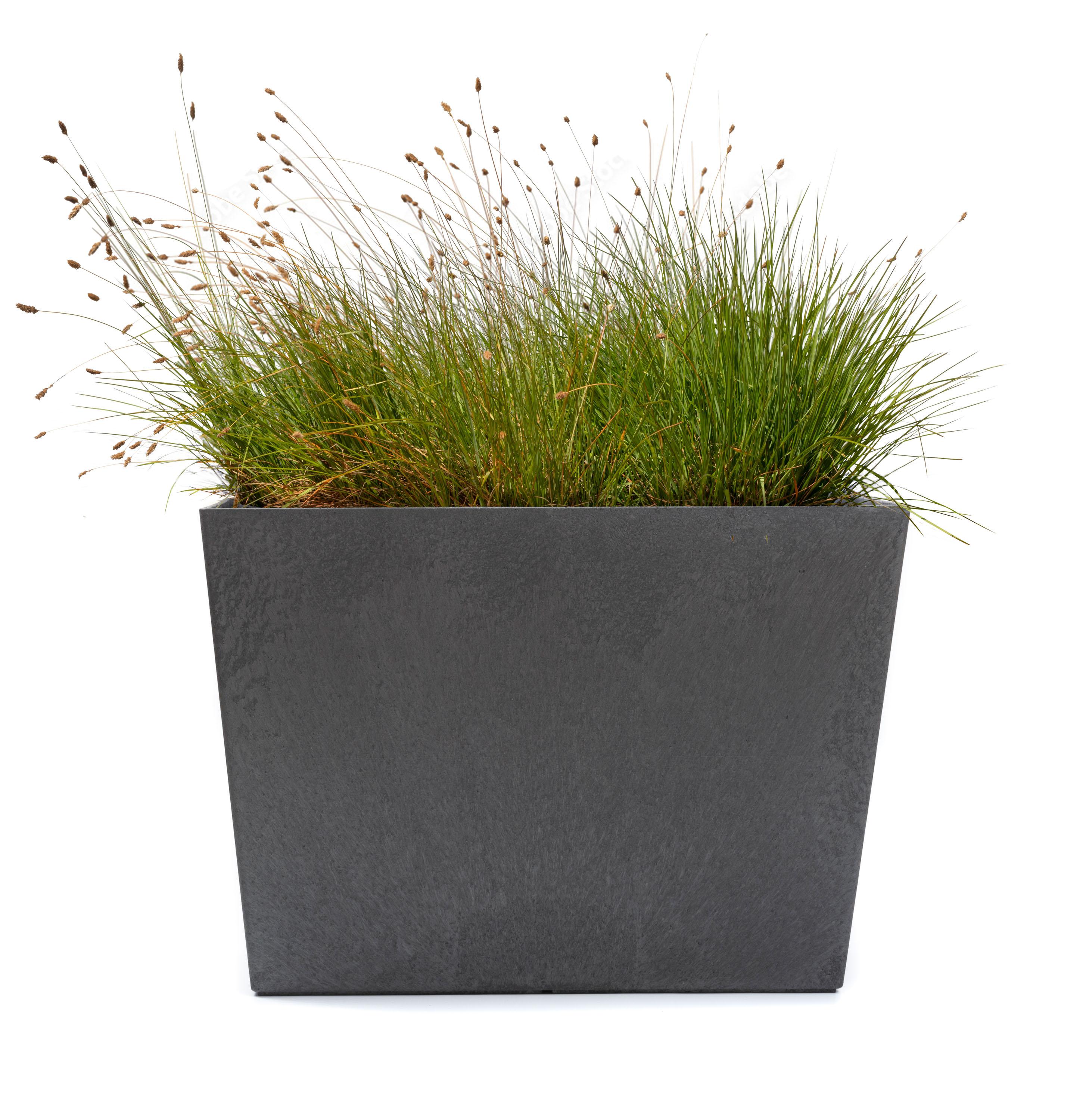 Sonata Trough 50cm Planter
