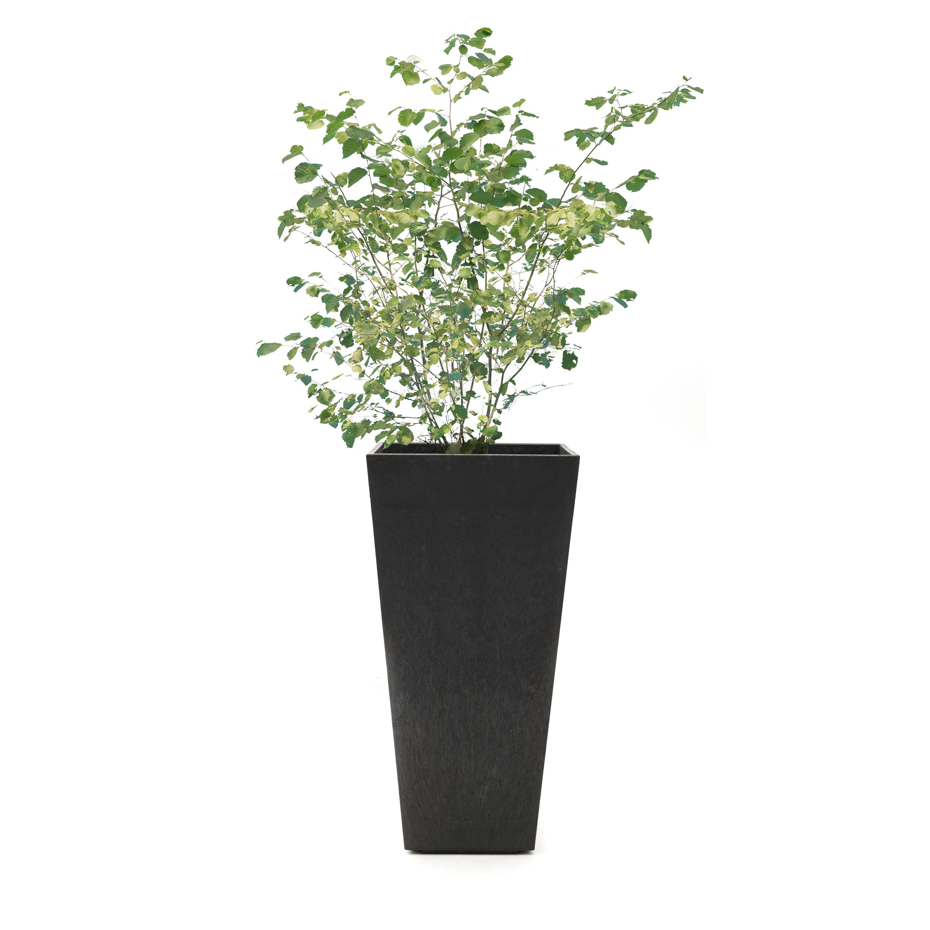 Sonata 70cm Planter