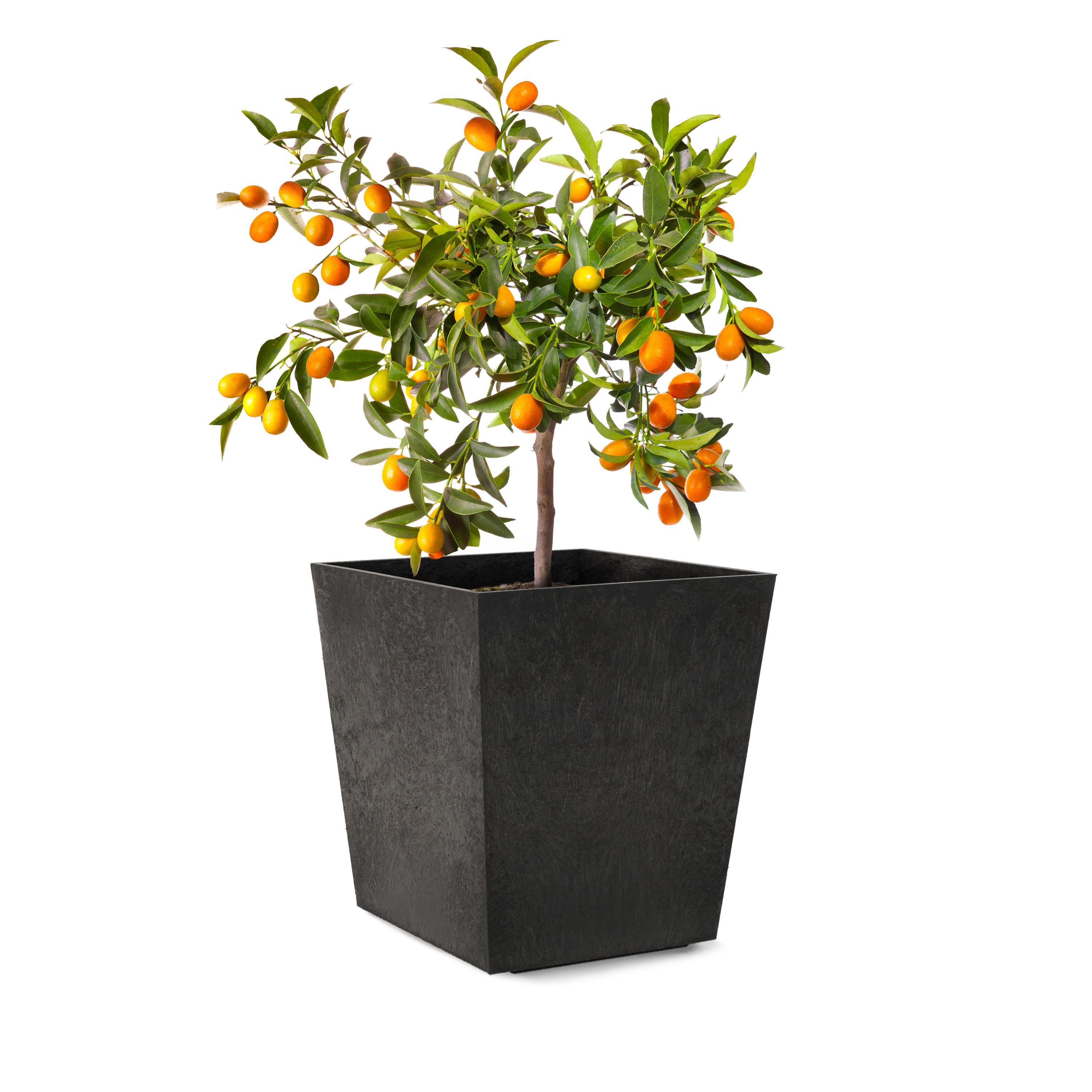 Sonata 33cm Planter
