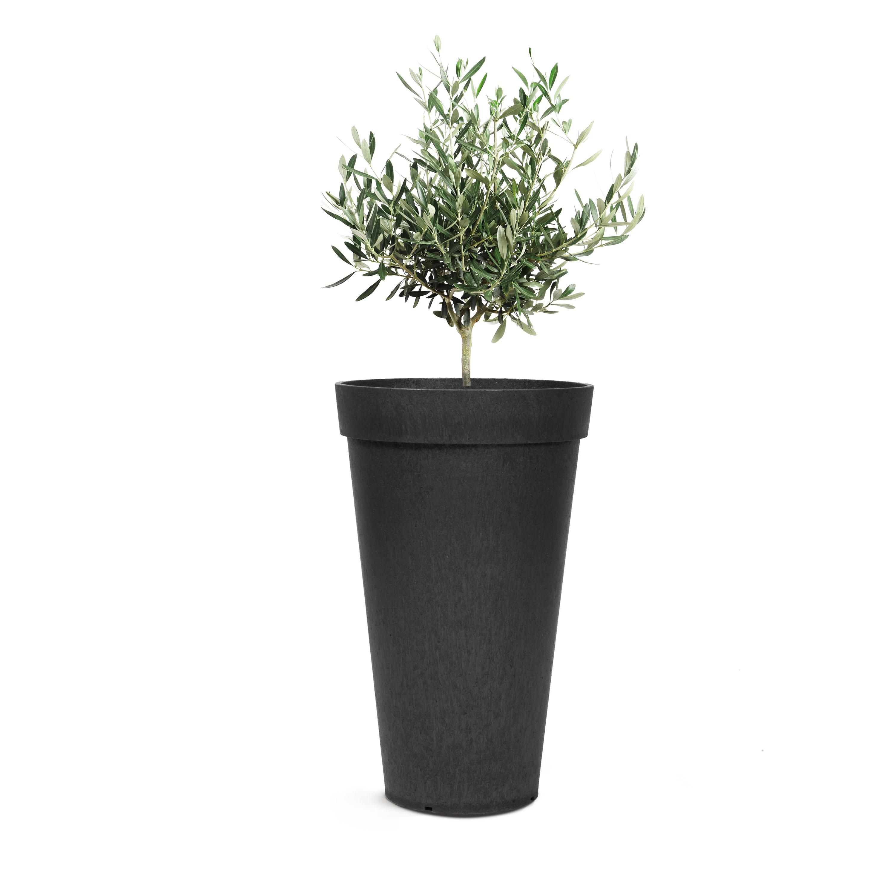 Aria 50cm Planter