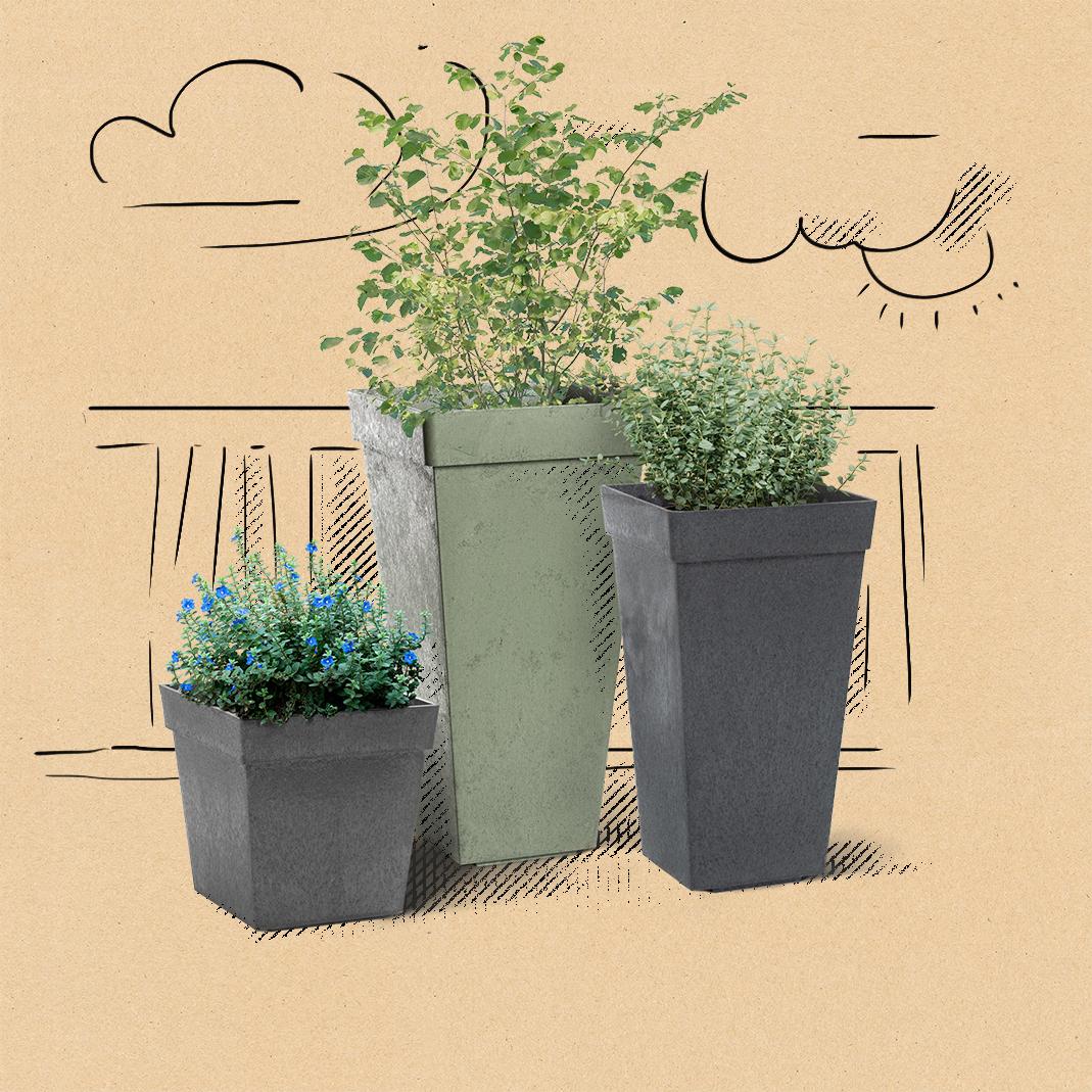 Planters 